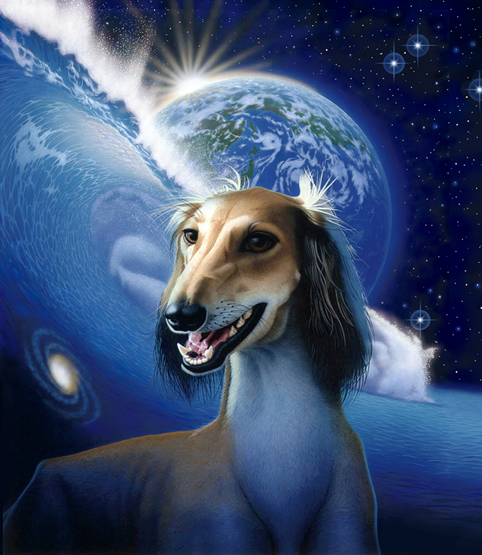 サルーキ　犬　波　地球