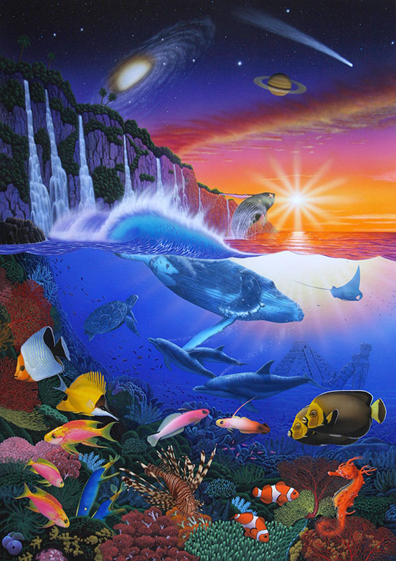 鯨　クジラ　熱帯魚　珊瑚