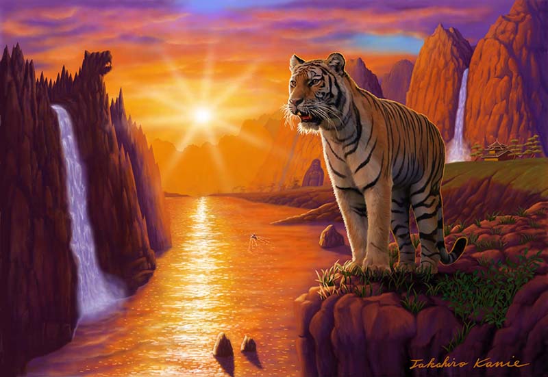 虎　夕日　渓谷