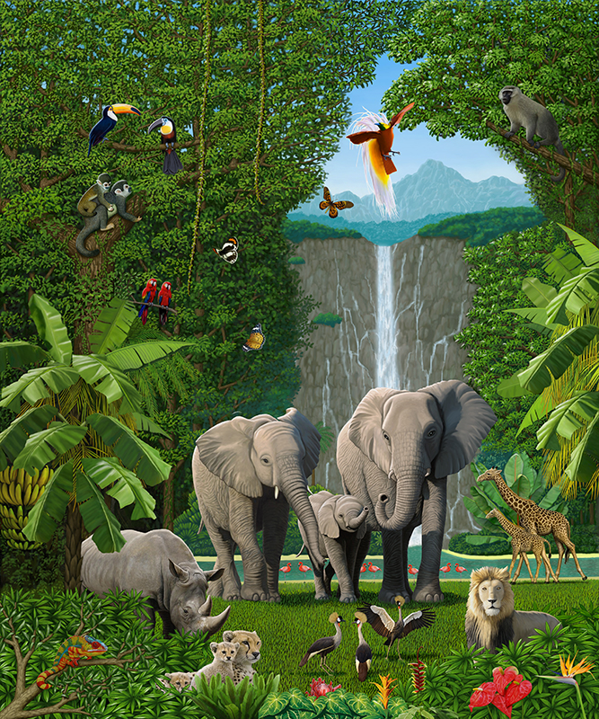 ジャングル　アフリカ　象　サイ　ライオン