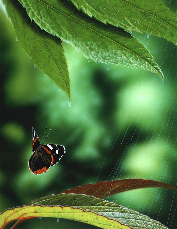 蝶　ちょう　チョウ